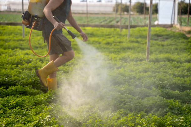 Best Pest Inspection Near Me  in West Pelzer, SC
