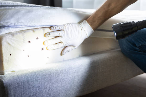 Best Pest Control Near Me in West Pelzer, SC